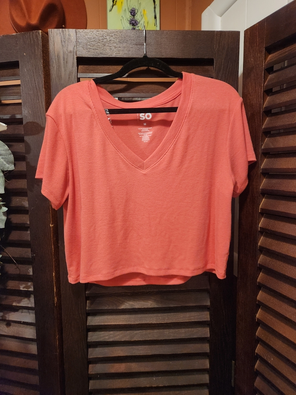 SO Coral V-Neck Short Sleeve Crop Top